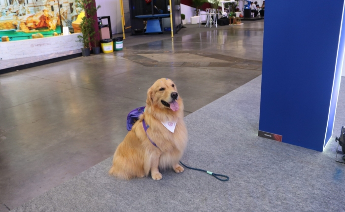 Você sabia? A Festa da Uva 2024 é Pet Friendly